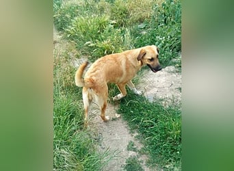 Abby,  möchte mit Dir Neues entdecken