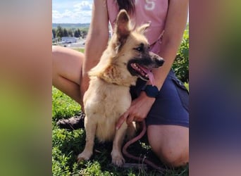 KIKA 2 soll es endlich schön haben