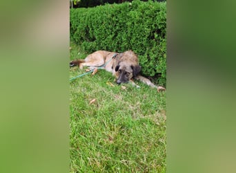 Storm taut langsam auf