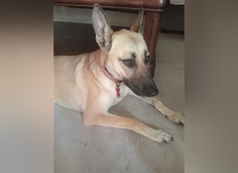 Liebe PRINCESA sucht ihr Traumkörbchen