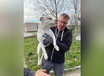 Berni auf der Suche nach ihren Menschen