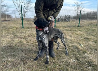 Teofil, geb. 01.01.2023, 63 cm, möchte viel erleben
