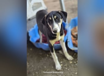 Aufgeschlossene Carlotta sucht Traumfamilie!