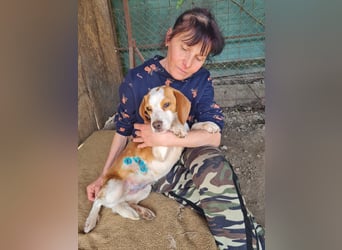 Sina – kleine Kämpferin mit großem Herzen sucht ihr Für-Immer-Zuhause