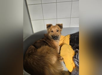 Dani sucht ihr Happy End bei einer liebevollen Familie
