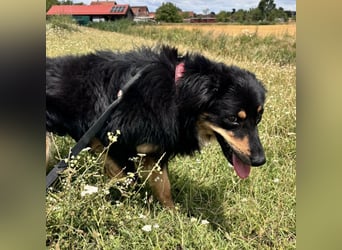 Fredi ein wundervoller Freund fürs Leben
