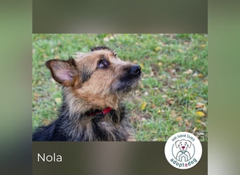 Nola, sucht einfühlsame Menschen
