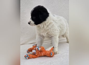 Nele, ein von 7 kleinen Schätzen