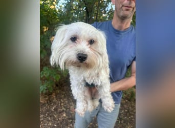 Casper, geboren 06.12.2023, 24cm sucht seine Menschen