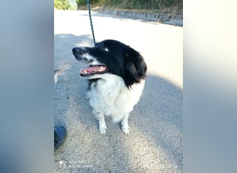 Fortuna sucht ihre Menschen