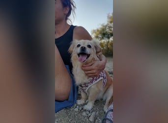 Luna, hofft auf ihre 2. Chance