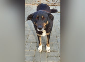 Lucky: wer lässt seine Augen strahlen