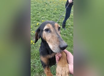 Linda - einfach ausrangiert