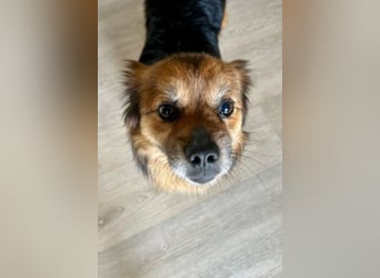 Maks – klein, aber oho! (44869 Bochum)