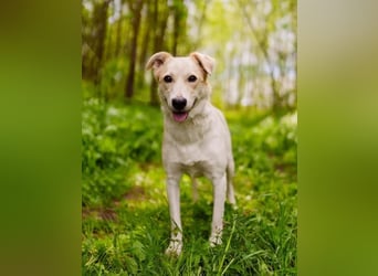Zuckersüße Tiffany sucht