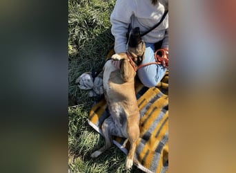 Erszi, Knutschkugel möchte gerne Kuscheln
