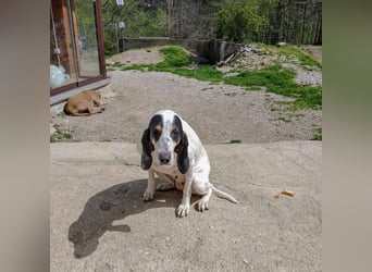 Alice - grosse Kämpferin und Sonnenschein - mit Alice gewinnt ihr eine Freundin fürs Leben