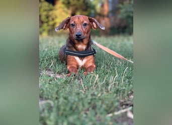 Helga, geboren 01.03.2025 sucht ihren Neuanfang