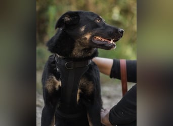 Percy ❤️ aufgeschlossen & verkuschelt!