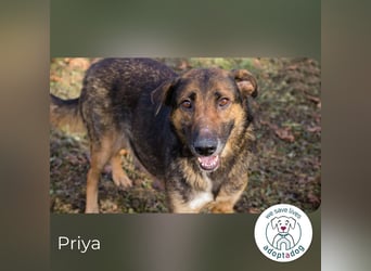 Priya: Schenke mir Liebe!