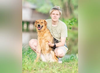 Hanny sucht ihren platz für immer