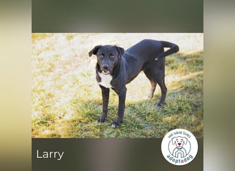 Larry: Sportskanone sucht Gleichgesinnte