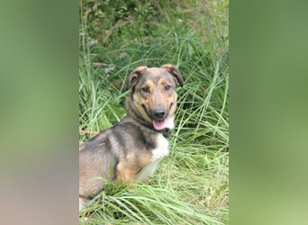 Zauberhafte kleine Henriette wünscht sich ein Zuhause