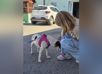 Cinga❤️