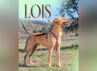 Lois – aktiv und sportlich