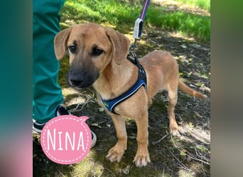 Nina ein kleiner Engelchen