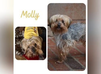 Molly