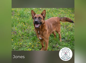 Jones: Starke Seele, sanftes Herz