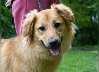 Sally sucht ein liebevolles Zuhause