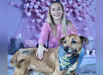Markus (Spanien) - sucht dringend liebevolles Zuhause