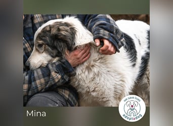Mina: Ruhige Seele mit großem Herz