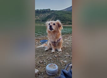 Luna, hofft auf ihre 2. Chance