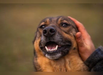 Mimi: Mit einem Lächeln ins Glück