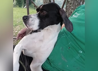 Stella  - glücklich mit Menschen - sagt Nein zur Jagd