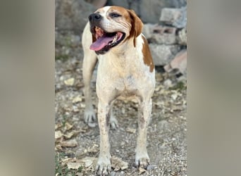 Esther, hofft auf ihr großes Glück