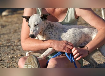 CHARITY-supersüße, liebe Zaubermaus, verschmust, aufgeschlossen, unbekümmert