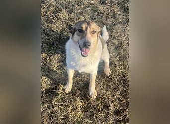 Aufgeschlossene Freya sucht liebe Familie