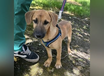 Nina ein kleiner Engelchen