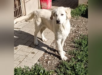 Maxi ist immer gut drauf