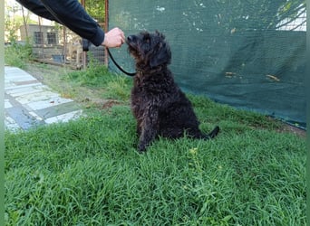 Ein neues Glück für Senior OTTO