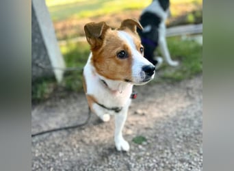 Charlie - unkompliziert und ruhig