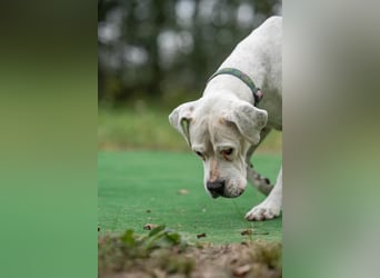 Natasa-DG, sucht neue Couch zum Schlafen !