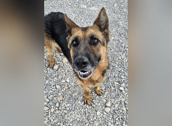 Karma hat das Schicksal zu uns geführt