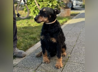 Gena eine vitale Lady