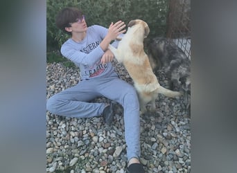 LEILA sucht eine Familie