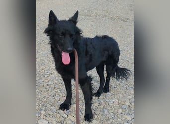Schmusige Kaja ❤️ sucht Liebe, Sicherheit